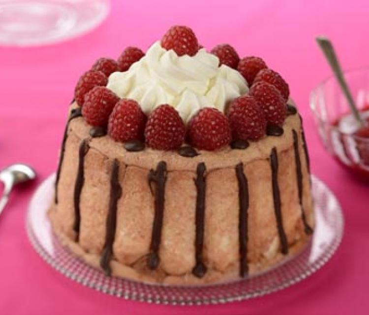 Charlotte chocolat framboise